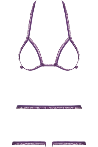 Maison Close Le Petit Secret Dentelle Cupless Bra & Open Brief Purple